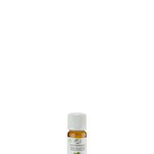 Olio Essenziale Pino Silvestre