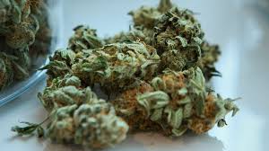Ever weed | Berry Cheesecake ⚡Sfuso
