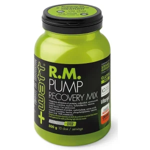 RM Pump Recovery Mix ARA 500 gr +Watt