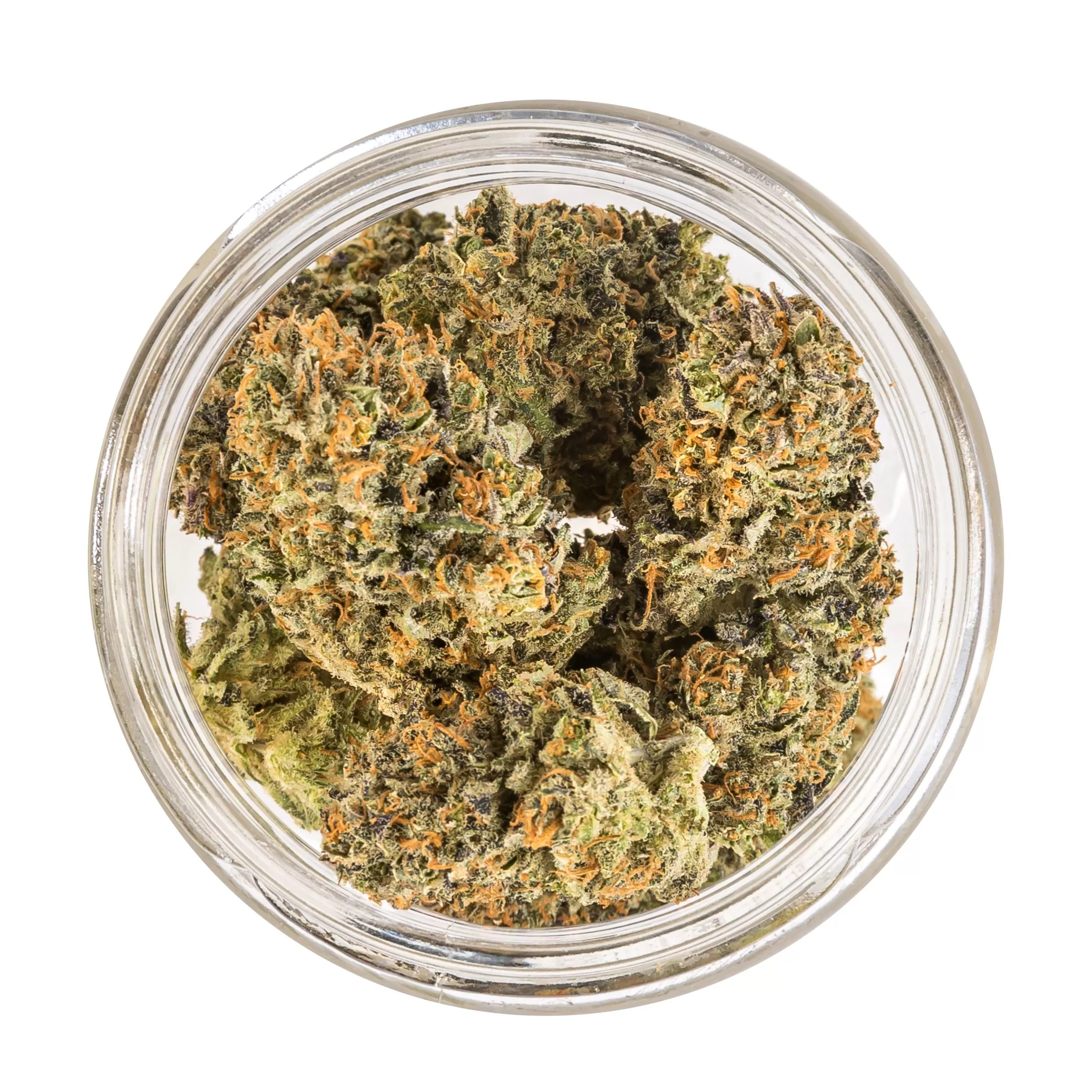 Canapa Light Blue | Tutti Frutti CBD – Indoor - immagine 2