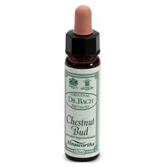 Chestnut Bud 10ml Fiori di Bach Ainsworths