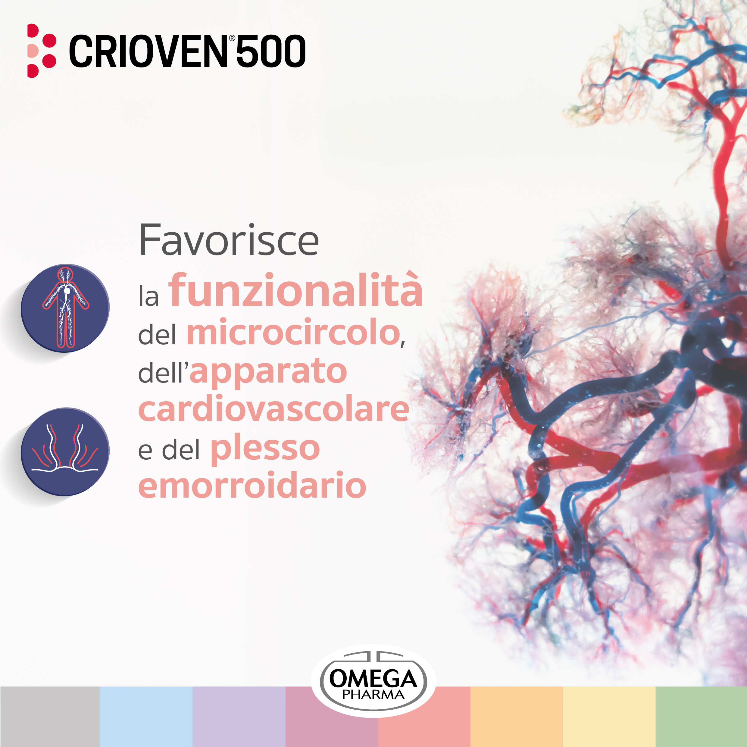 CRIOVEN 500 – 16 bustine - immagine 4