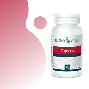 REISHI 60 capsule