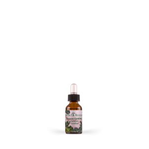 Essenza Naturale Gardenia