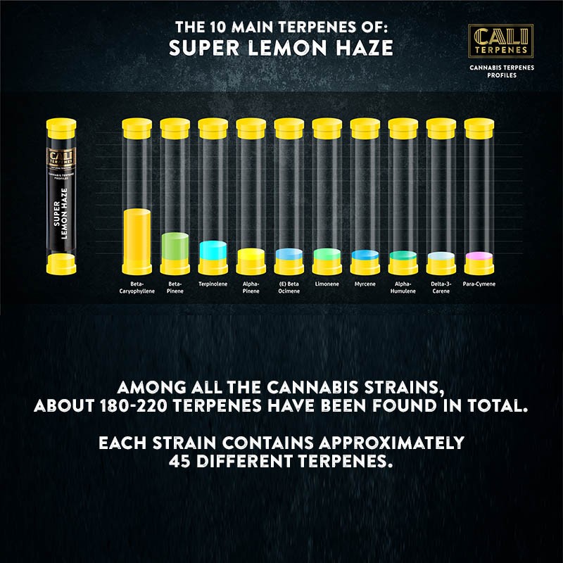 Cali Terpenes | Super Lemon Haze - immagine 2