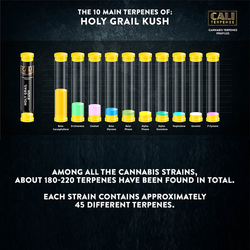 Cali Terpenes | HOLY GRAIL KUSH - immagine 2