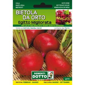 Sementi da Orto – Cavolo Verza Vertus 2 – Sem. Dotto