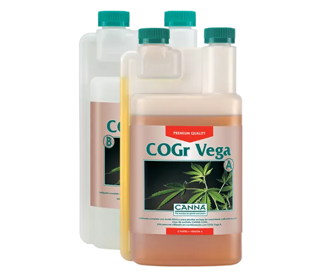 CANNA – COGr Vega A&B - immagine 2