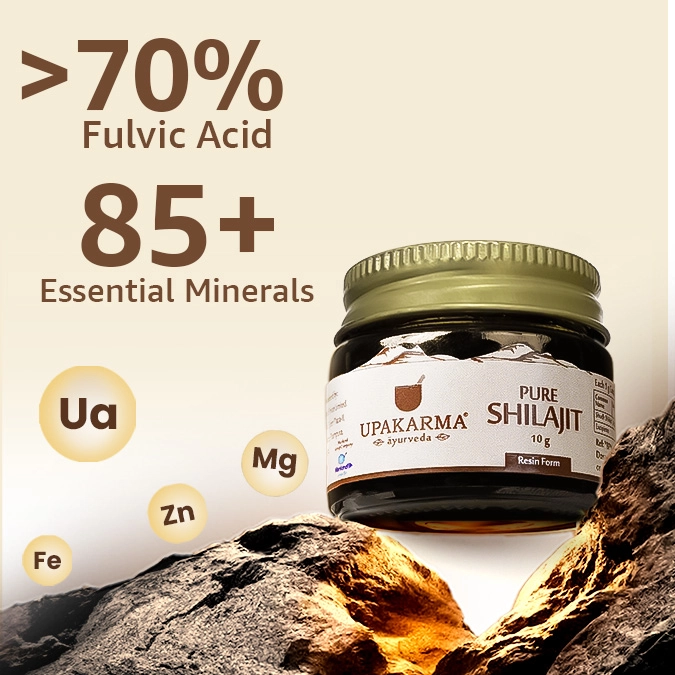Upakarma | Pure Shilajit Resin - immagine 2
