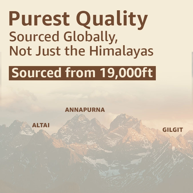Upakarma | Pure Shilajit Resin - immagine 9