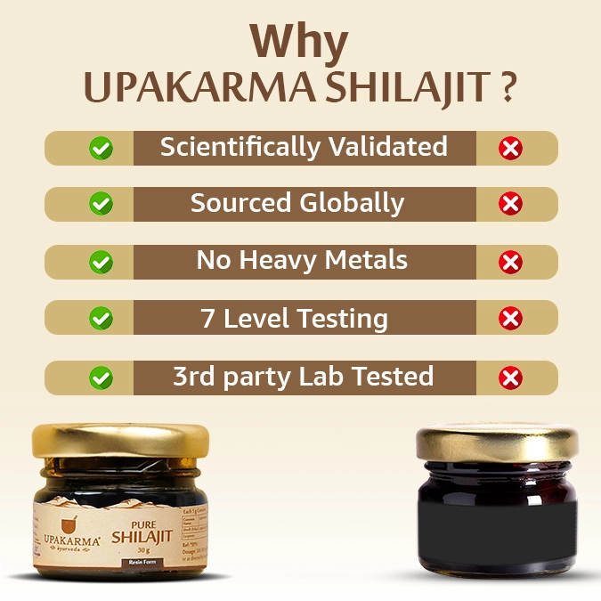 Upakarma | Pure Shilajit Resin 30g - immagine 4