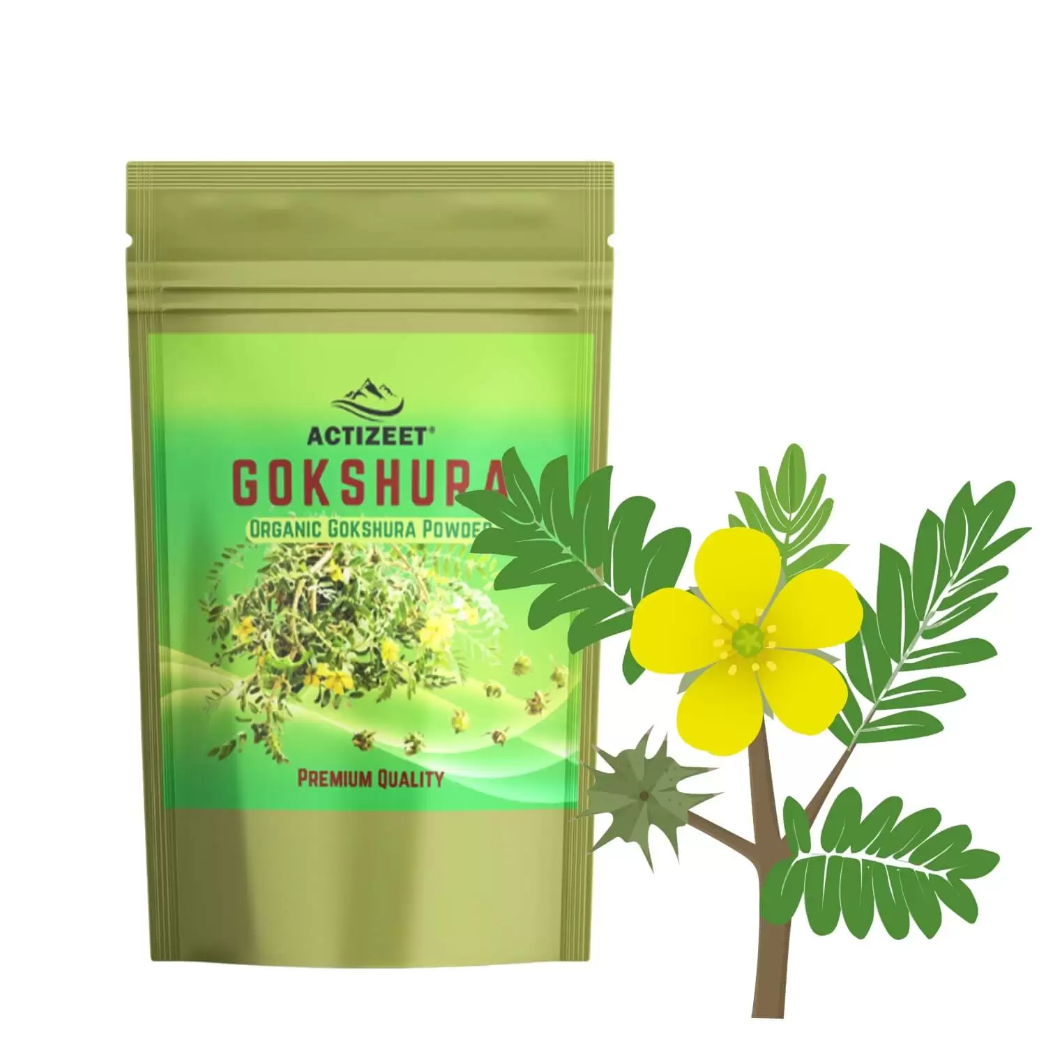 ACTIZEET | Gokshura Powder Organic - immagine 2
