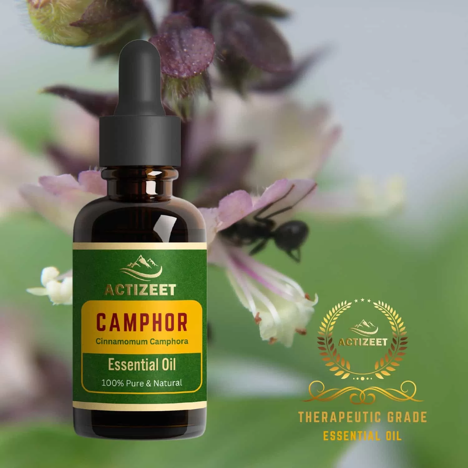 ACTIZEET | Camphor Essential Oil - immagine 7