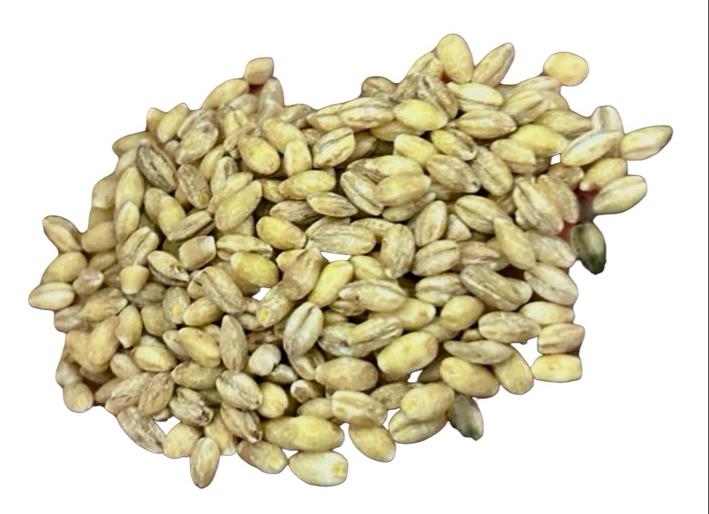 ORZO PERLATO 500g