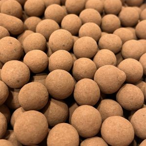 Nocciole tartufate al caco