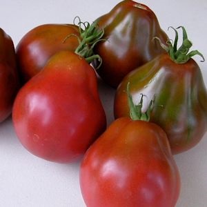 Pomodoro Trifele giapponese nero