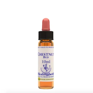 Chestnut Bud Healing Herbs Fiori di Bach 10 ml