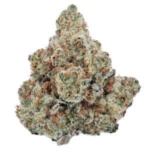  Super 24 | Tangle Tonic