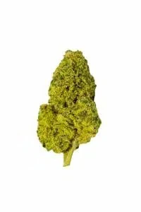 Gold CBD | Super Skunk
