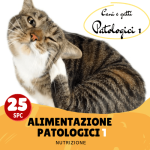 Alimentazione casalinga: pazienti patologici
