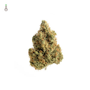 Amsterdam Genetics | Strawberry Glue - immagine 3