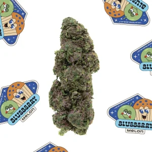 La Canapa Legale | Blueberry Melon CBD
