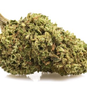 Just Bob | Bubblegum Indoor
