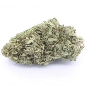 Sensimilla | Bubblegum OG