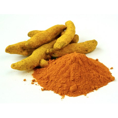 CURCUMA