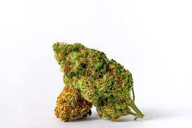 Choco Bud ⚡Sfuso