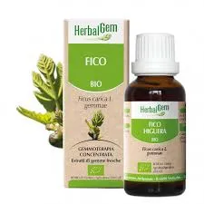 Herbalgem Gemmoderivato Fico