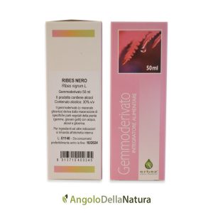 Ribes nero – gemmoderivato