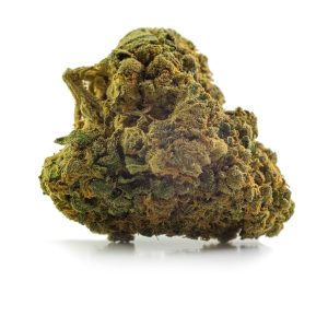 Super 24 | Mobydick 0,2