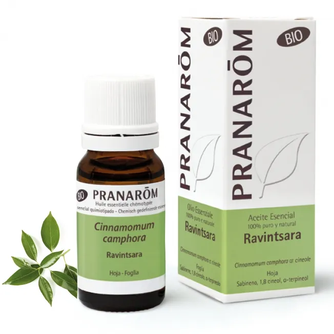 Olio Essenziale Ravintsara 10 ml Bio Pranarom