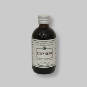Ribes nero