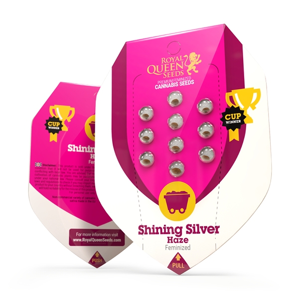 Royal Queen Seeds | Shining Silver Haze - immagine 2