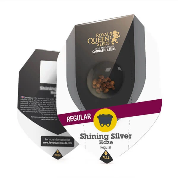 Royal Queen Seeds | Shining Silver Haze Regular - immagine 3